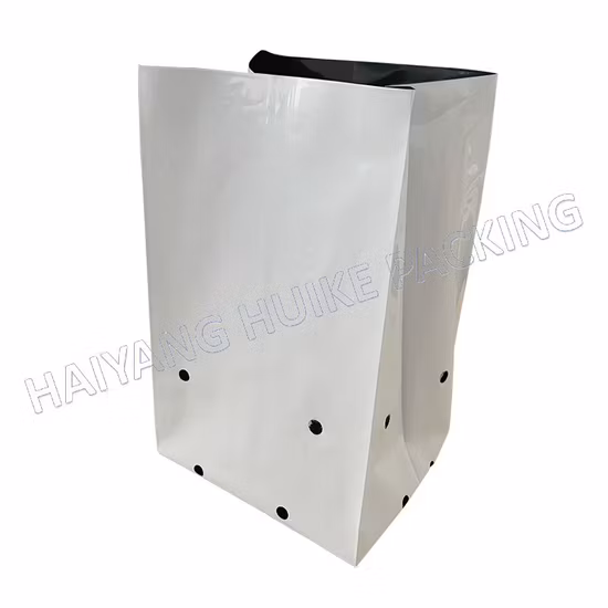 PE Polyethylene Perforated Planting Bag Plastic UV Protection Nursery Fruit Flower Grow Bags