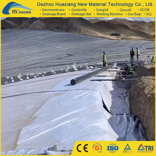 Pet Polyester Polypropylene PP Needle Punched Non-Woven Geotextile Fabric, for Landfill Water Tank Road Construction 150gram 200gram 250gram 150 200 250 Gram