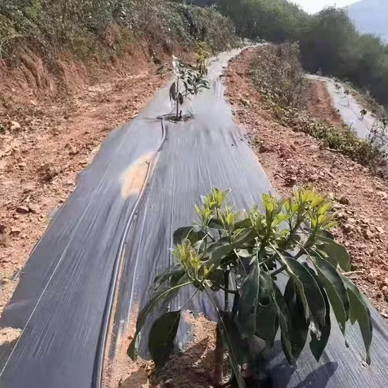 Weed Control Mat of PP Spunbonded Nonwoven Fabric