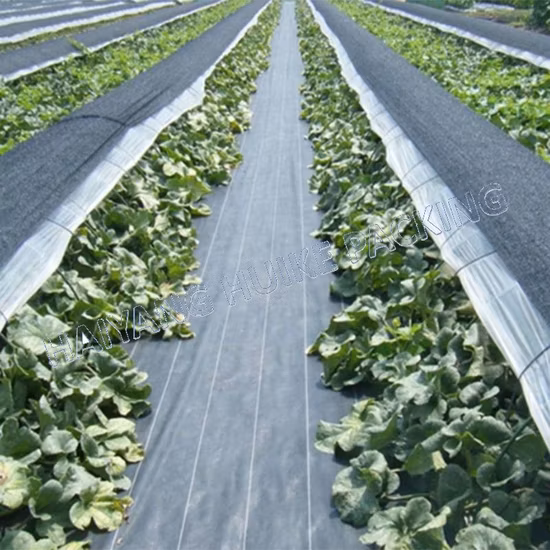 Spunbond Biodegradable Nonwoven Weed Control Mat for Greenhouse