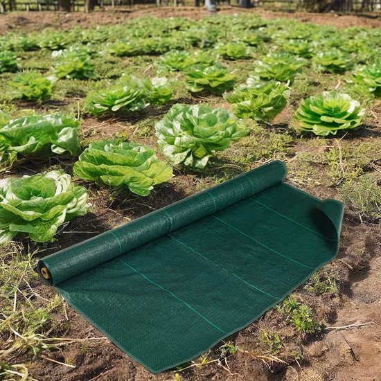 PP Non Woven Mulch Nonwoven Fabric Agriculture Nonwoven Weed Mat